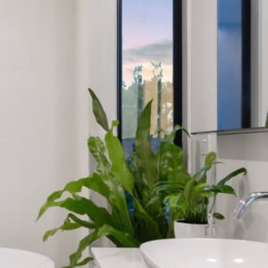 Home plants shop product gallery img 20