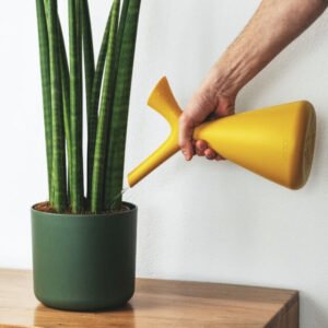 plants shop product gallery img 9